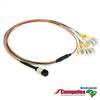 24 Fiber MTP / MPO OM2 50/125 Multimode Fanout Fiber Optic Patch cabo
