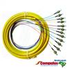 OM4 50/125 Multimode 12-Fiber Distribution Fiber Optic Pigtail